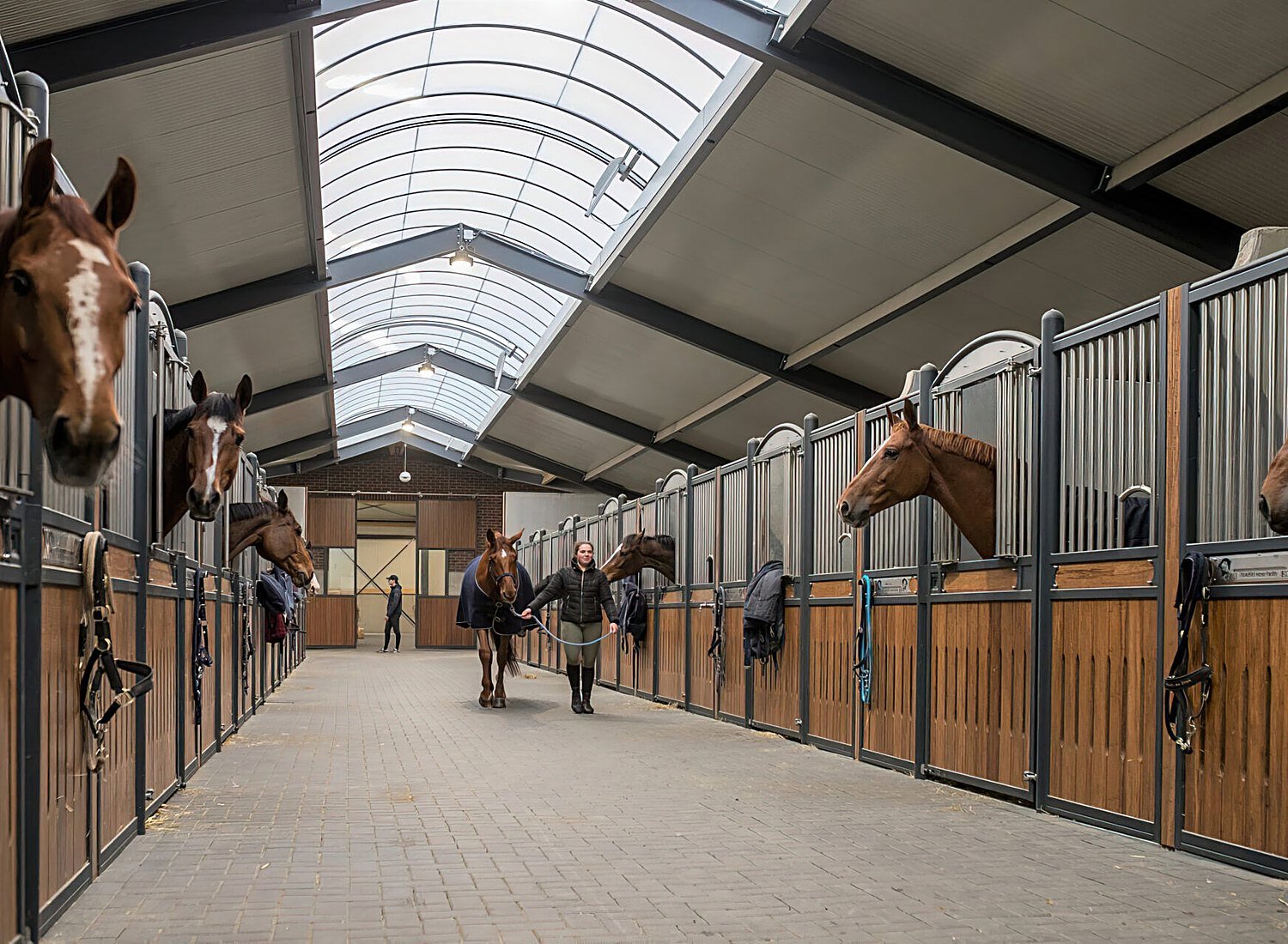 Paardenhouderij