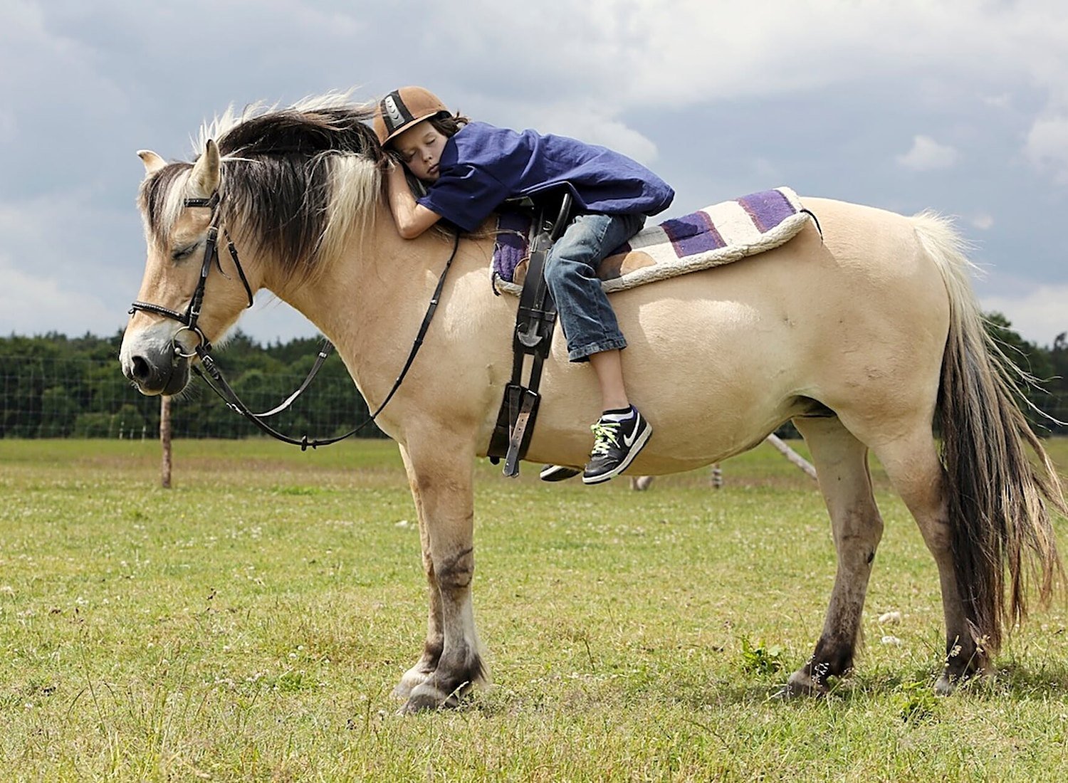 Human Horse Power