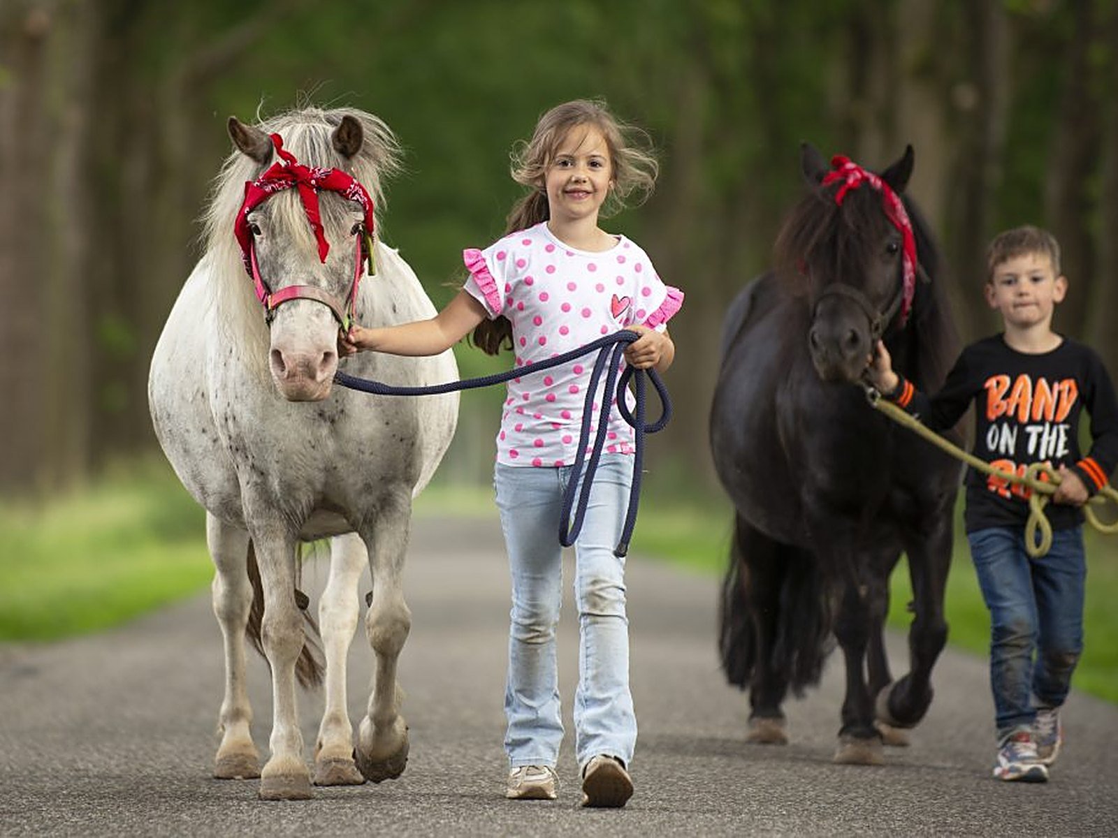 Human Horse Power op de Veluwe